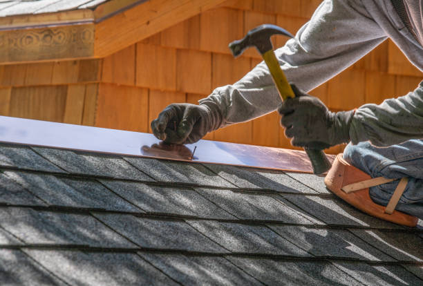 Best Solar Panel Roofing Installation  in Mabank, TX